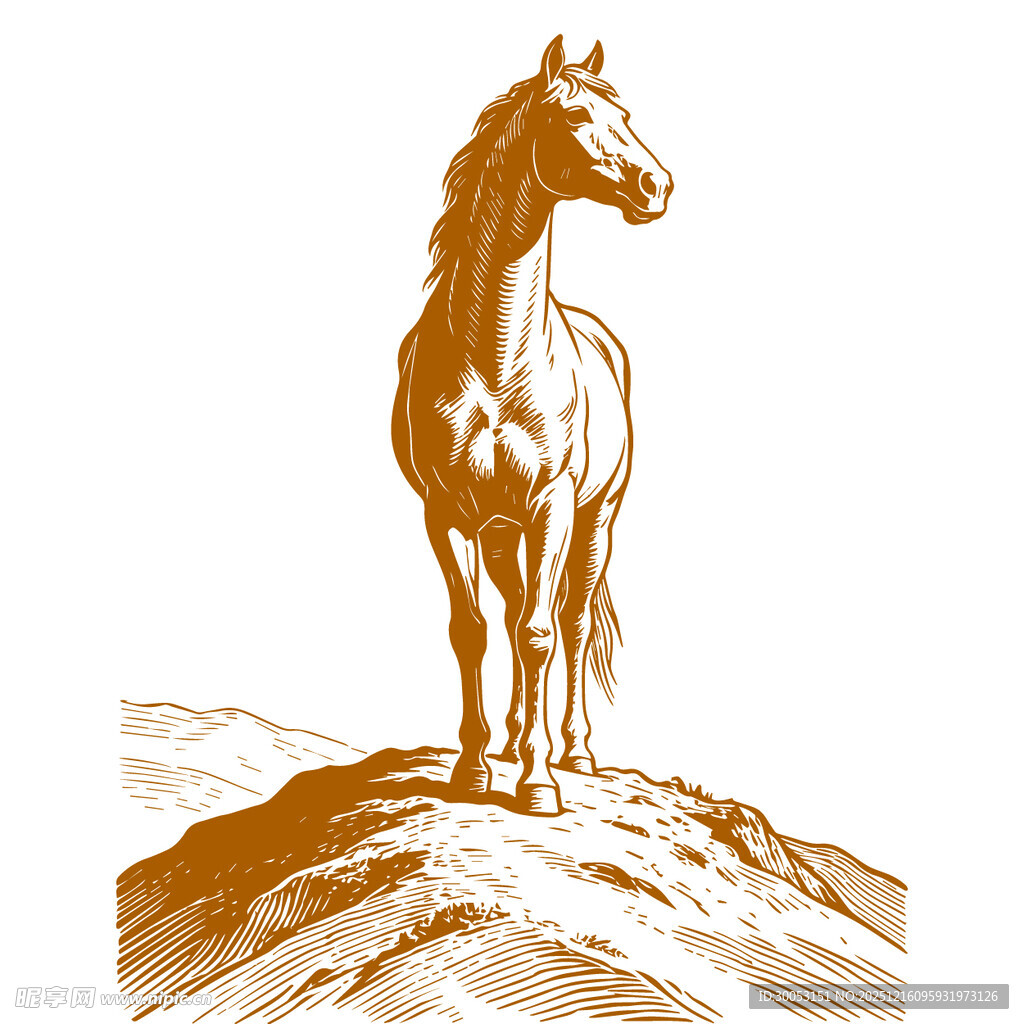 山顶骏马图