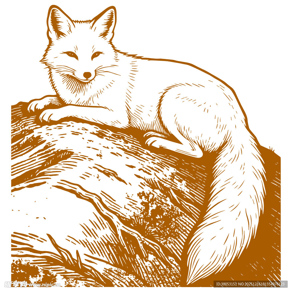 岩石上休憩的白狐