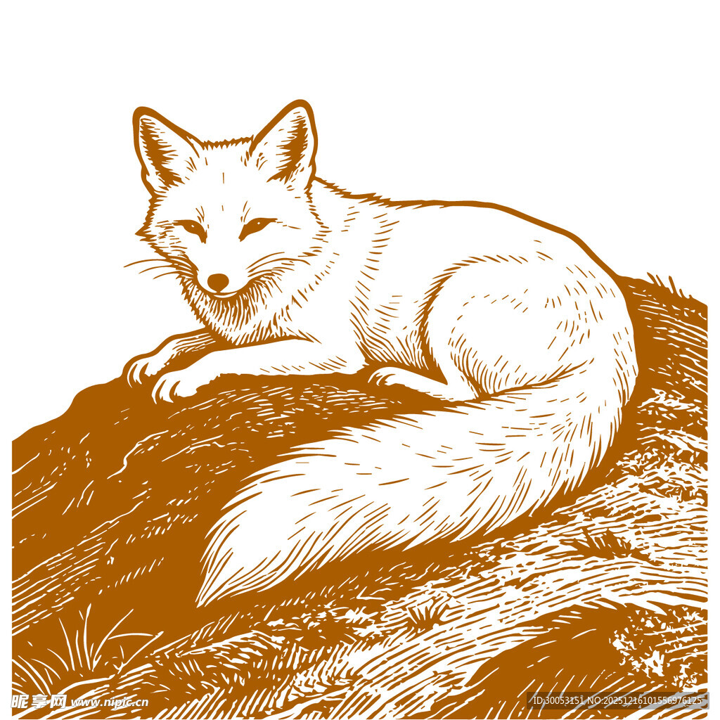 卧于石上的优雅白狐