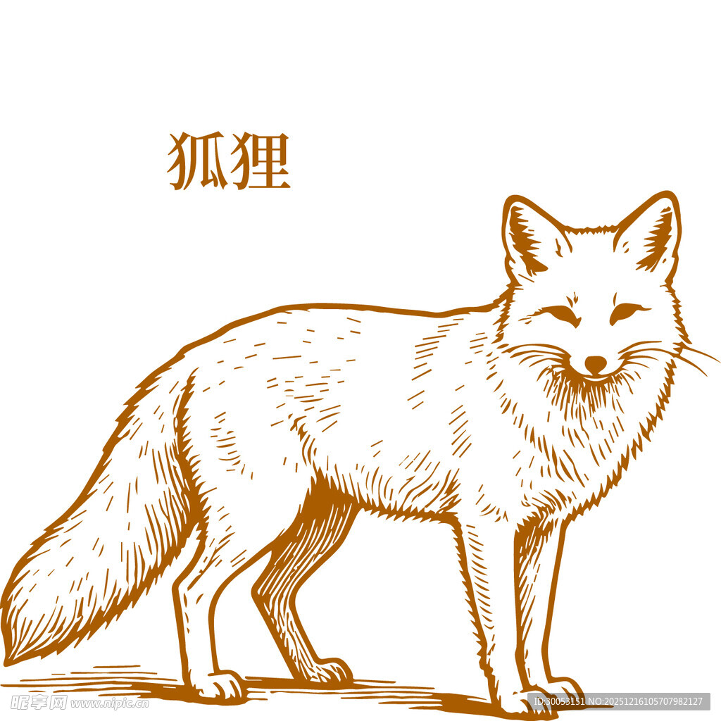 手绘站立狐狸形象