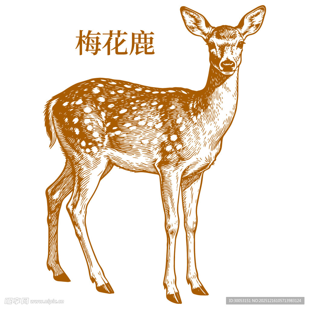 手绘梅花鹿图案