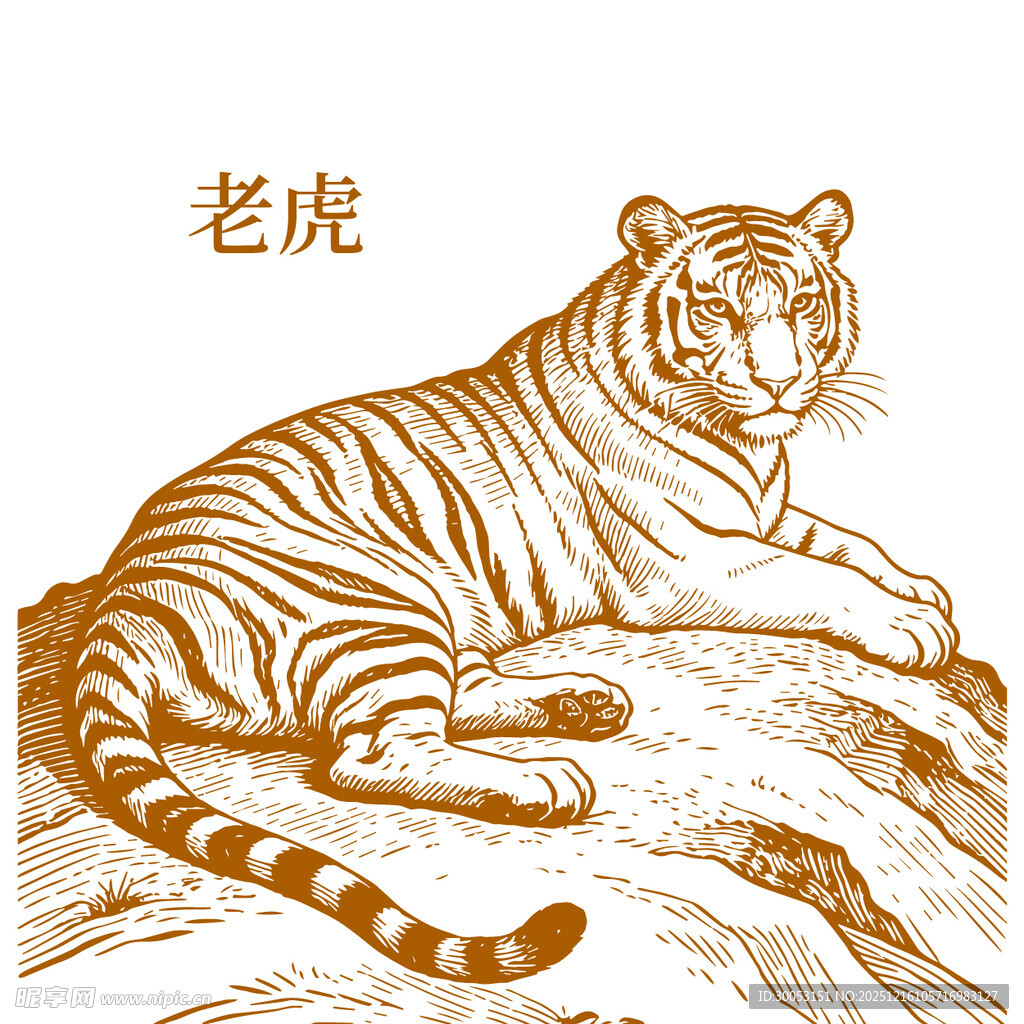 手绘老虎图