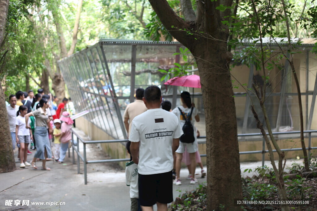 游客排队参观动物园场景
