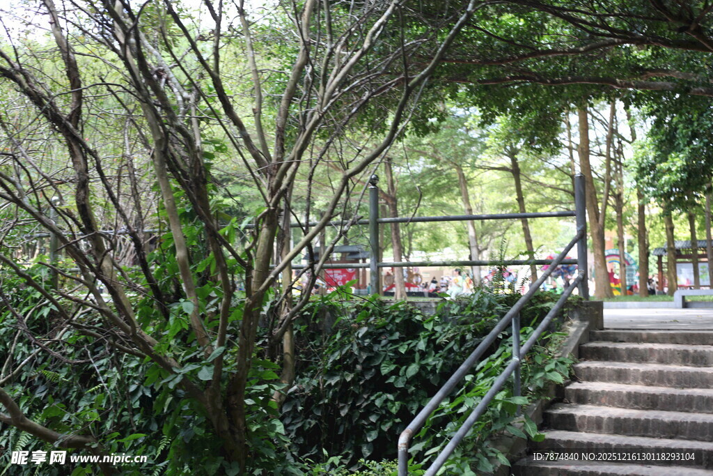 林间石阶绿意盎然的小径