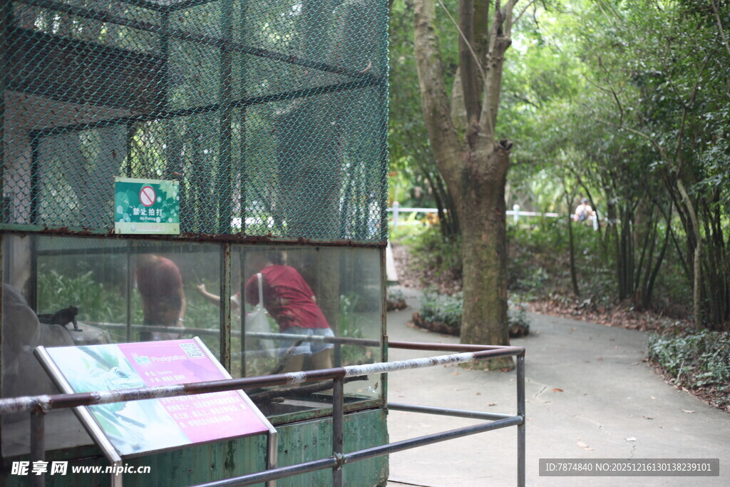 户外透明展柜展示场景