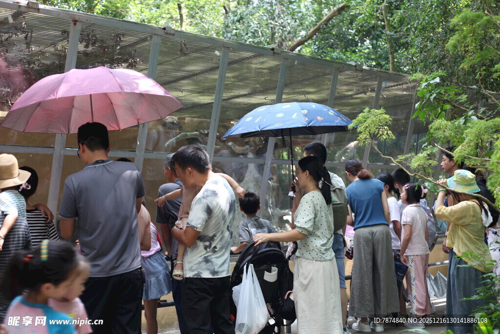 景区游客撑伞排队游览