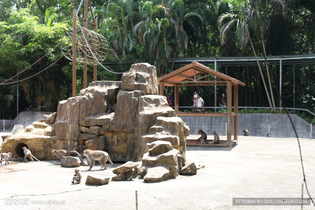 动物园内的动物雕塑景观