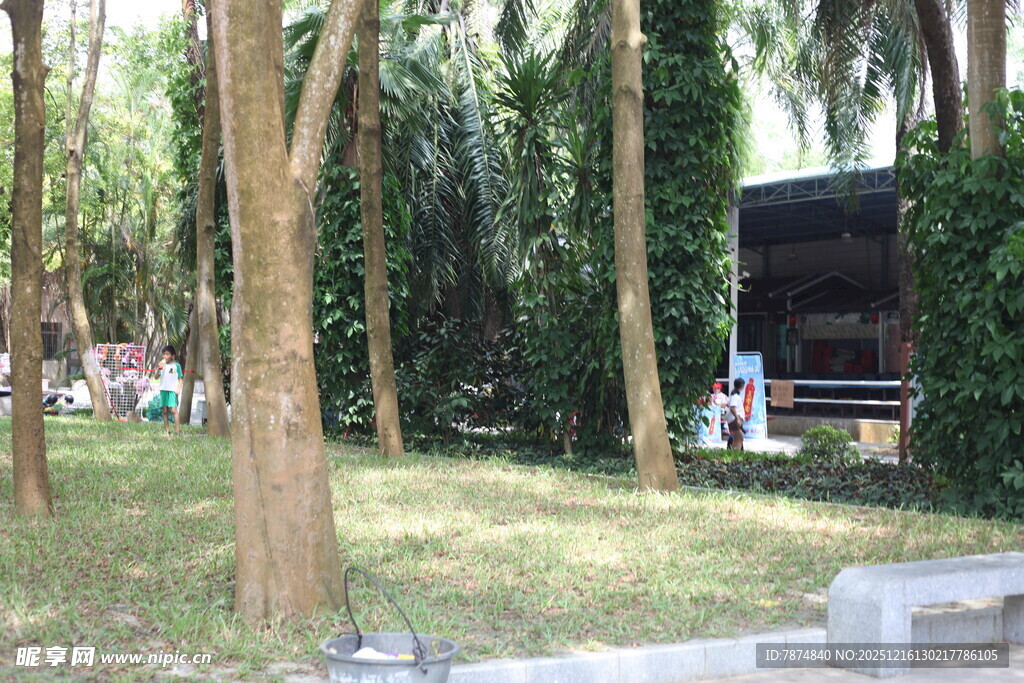 林间休闲处静谧好风光