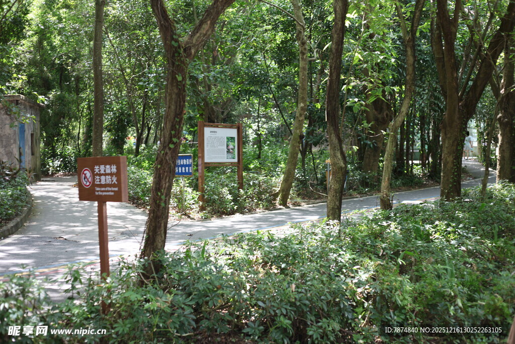 林间小径旁的指示牌