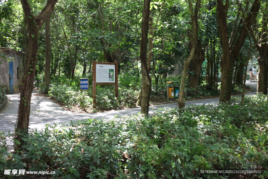 林间小道旁的绿植与标识牌