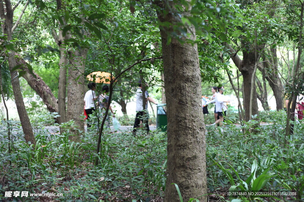 森林中的户外探险活动