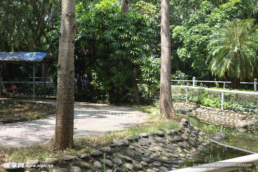 林间静谧小道与自然景致