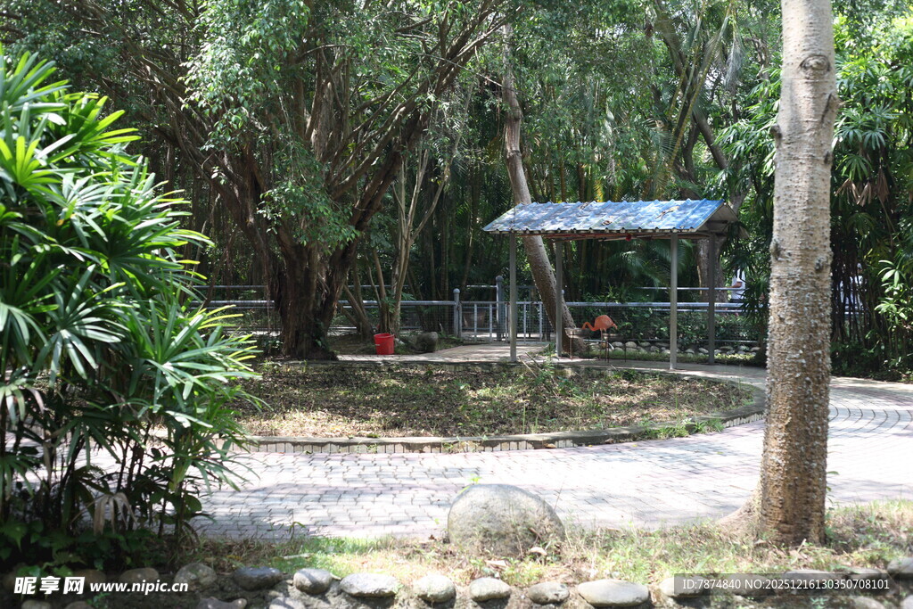 林间休闲小亭景观