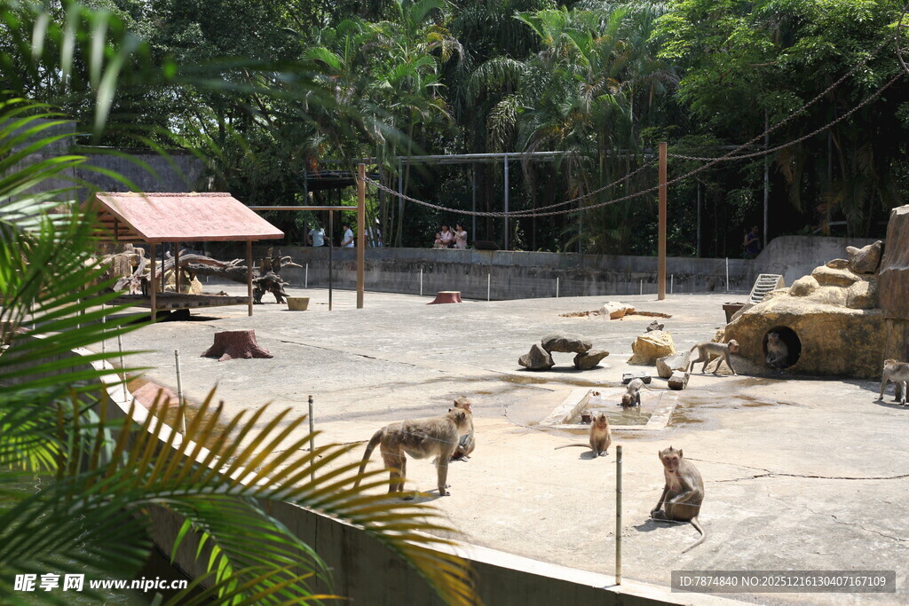 动物园中休憩的多种动物