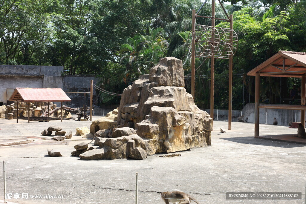 动物园猴区假山景观