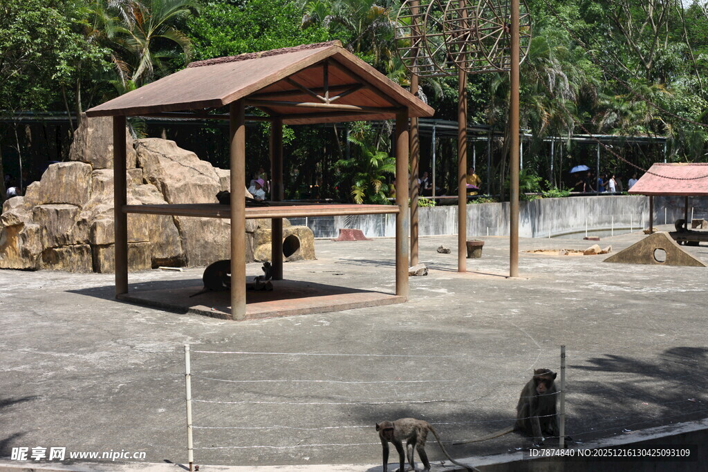 户外木质凉亭及周边景观