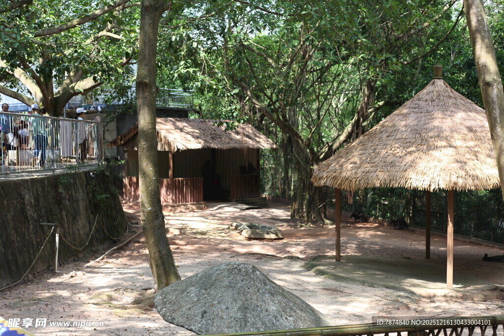 乡村茅草屋景观