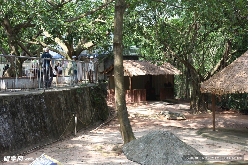 乡村林间小屋场景