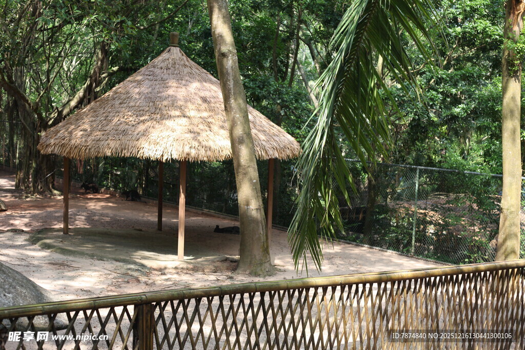 丛林中的茅草凉亭