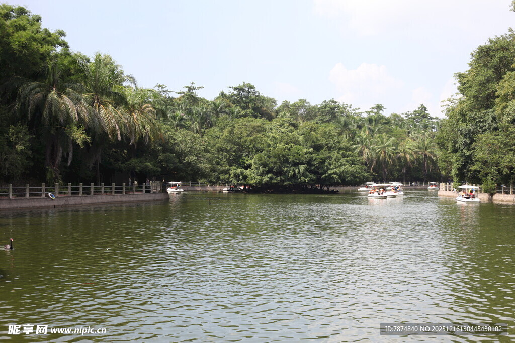 湖畔绿树环绕的宁静水域