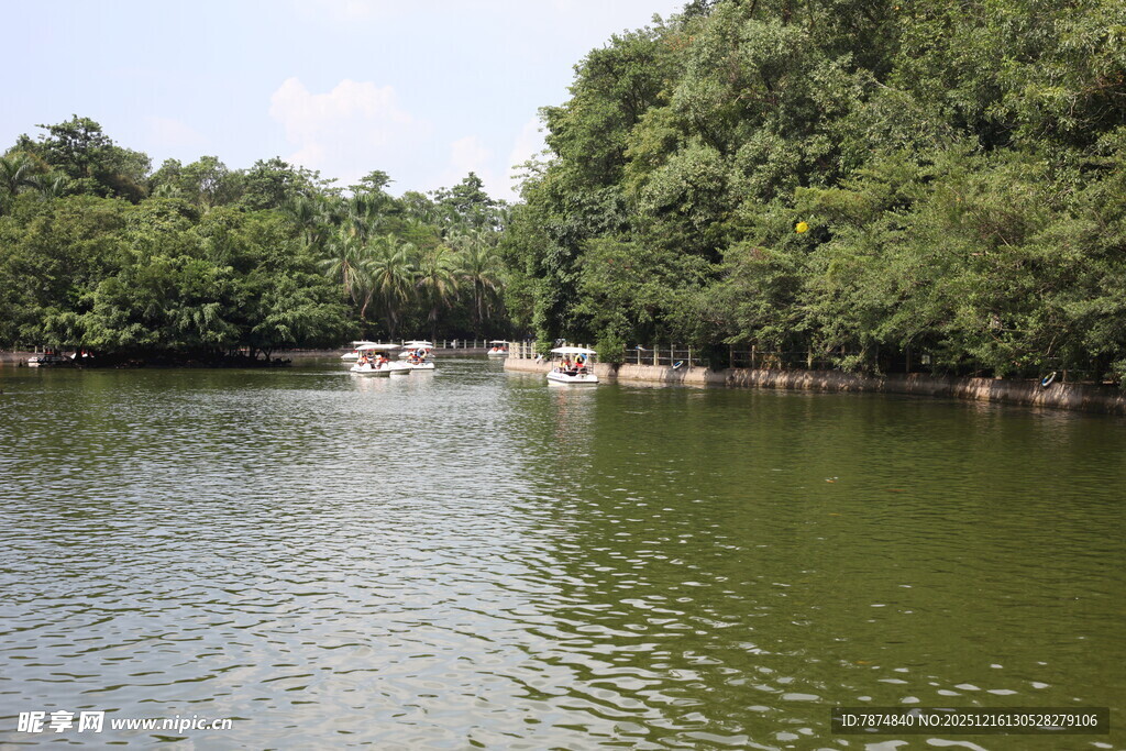 宁静湖畔绿树环绕的美景