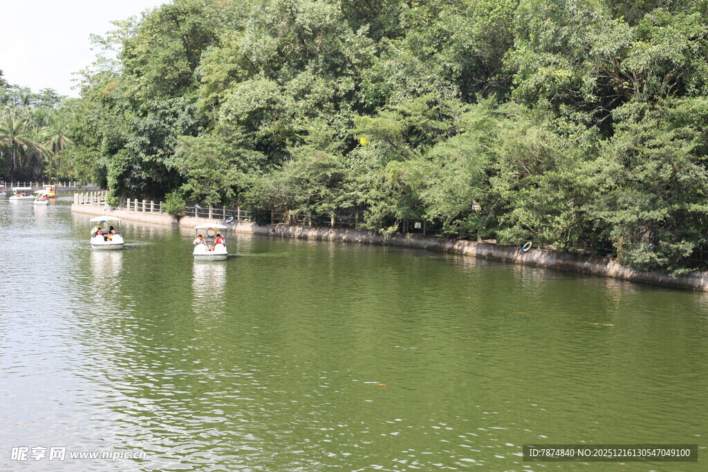 河畔绿树环绕的宁静水域
