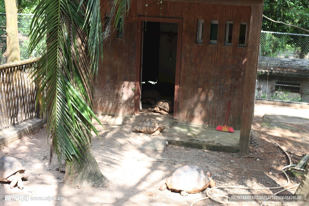 林间小屋静谧自然一角