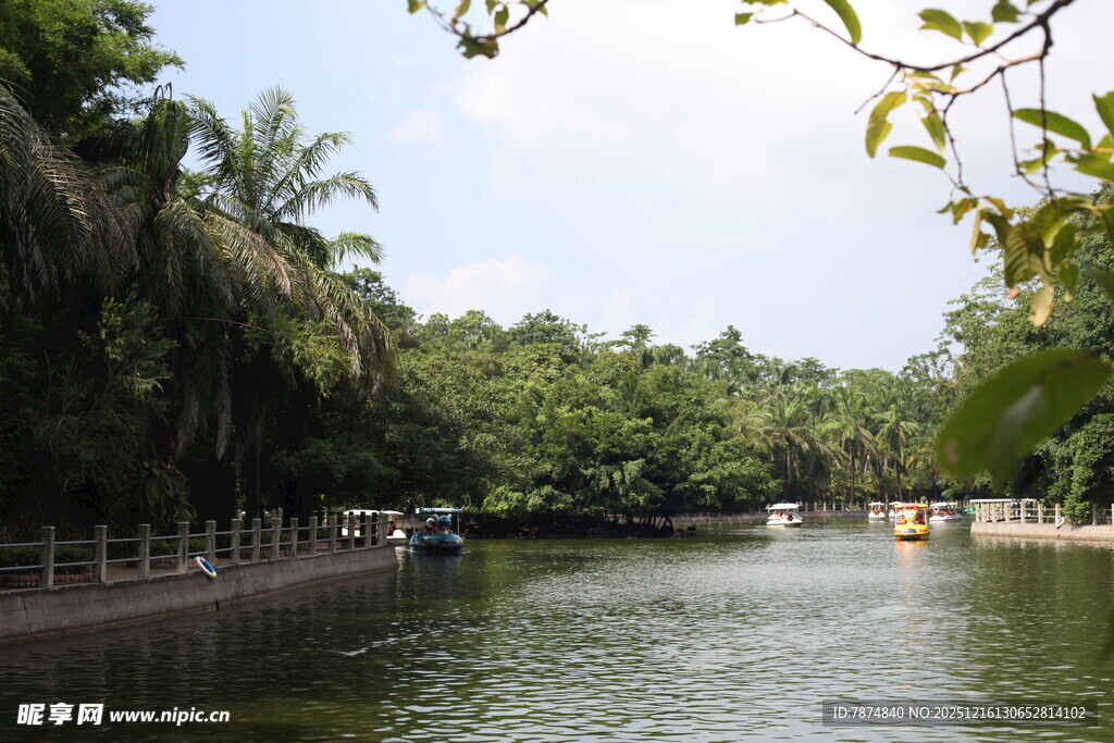 河畔绿树环绕的宁静水域