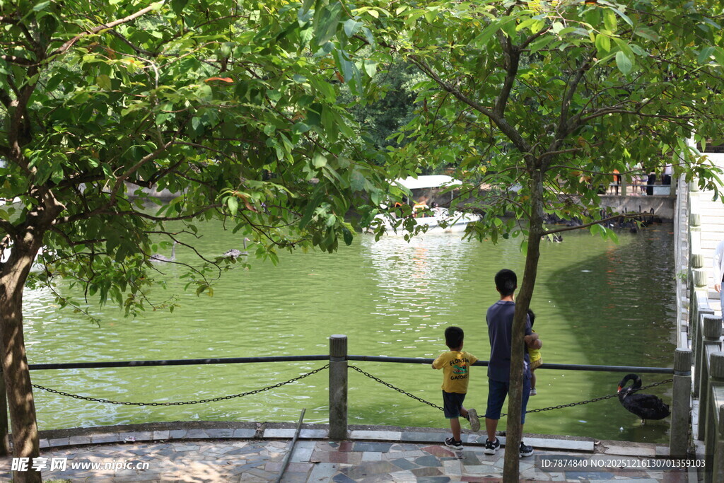 湖畔亲子赏景时刻