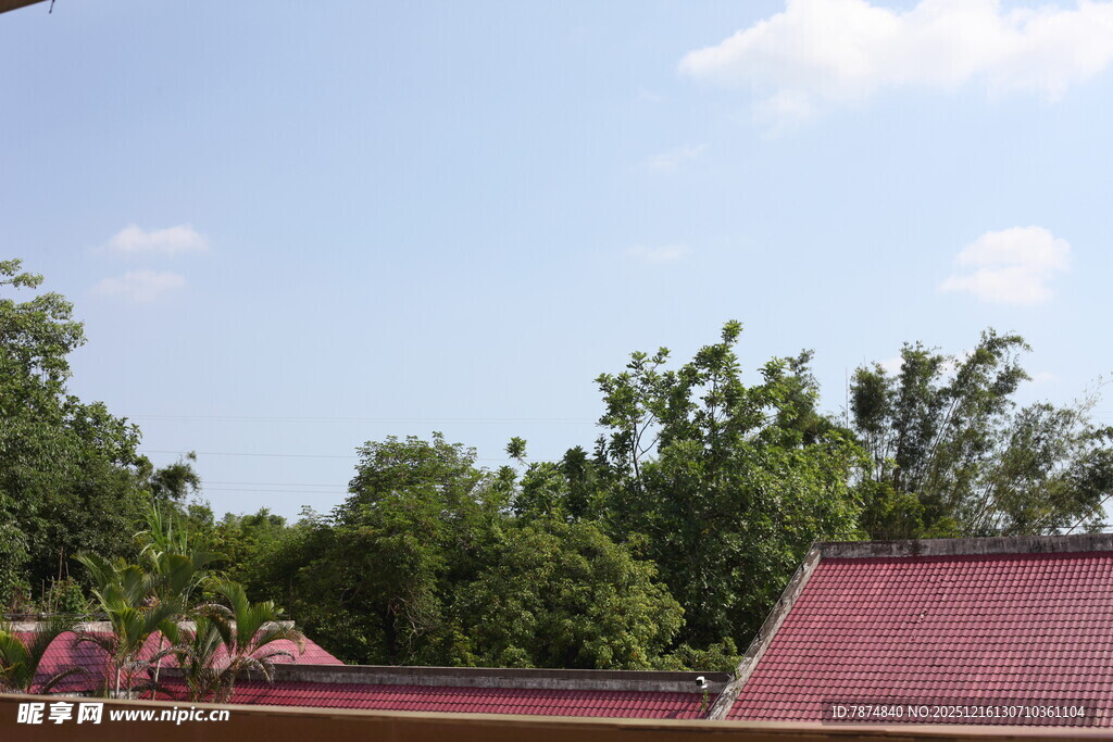屋顶视角下的绿树蓝天