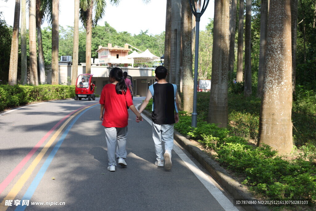 校园小路两人并肩漫步