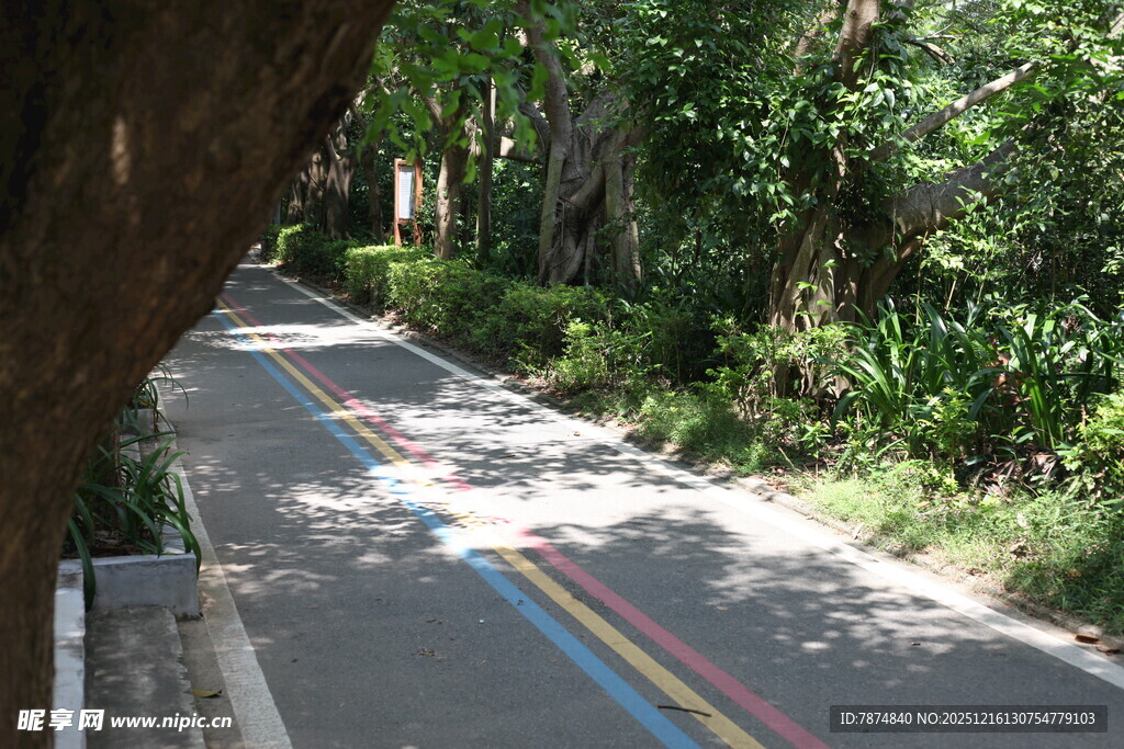 林间彩色骑行道