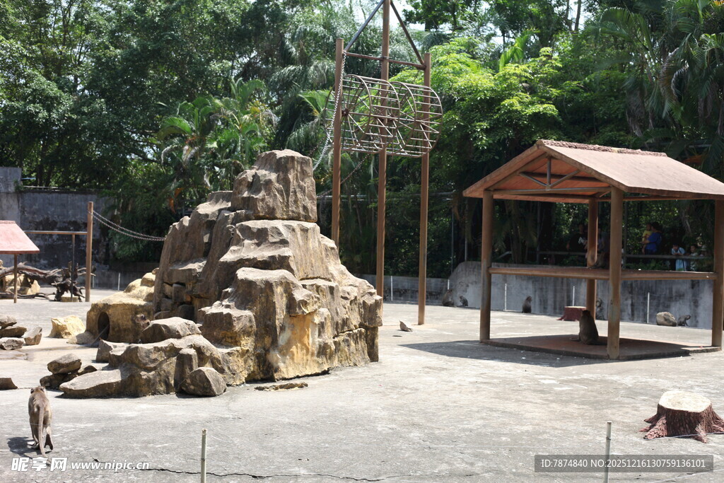 动物园内的岩石景观与凉亭