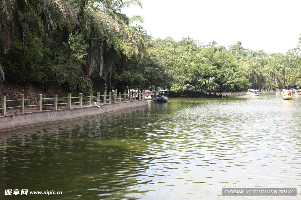 河畔绿荫下的宁静水域