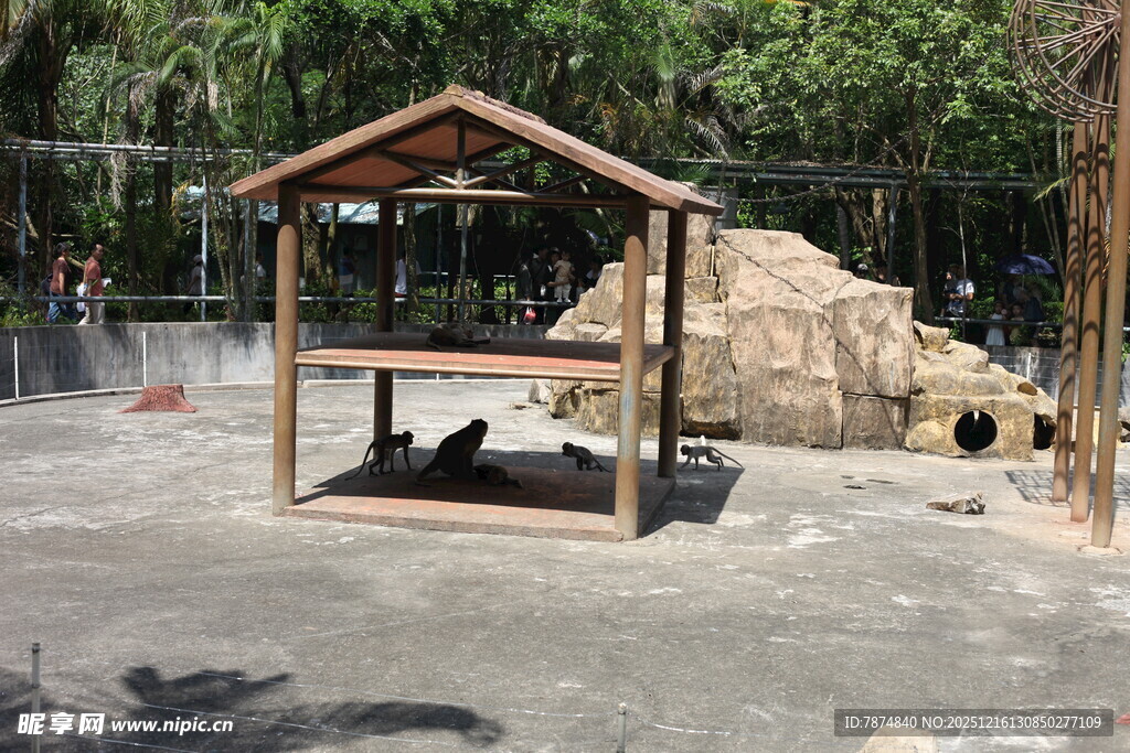 户外木质凉亭与周边景观