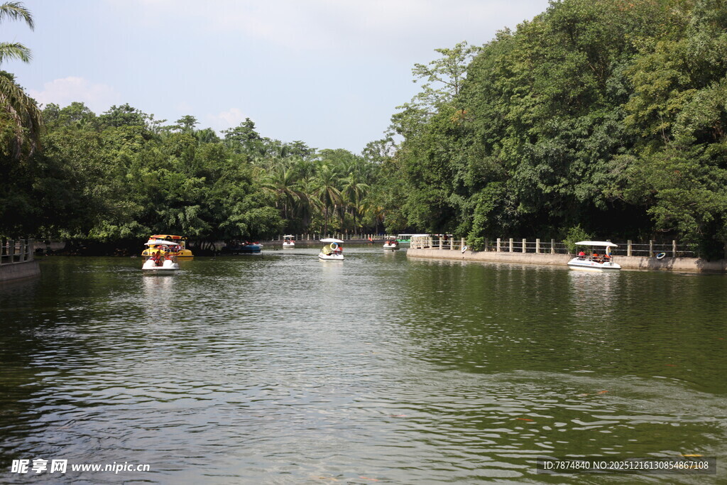河上泛舟赏两岸葱郁景色