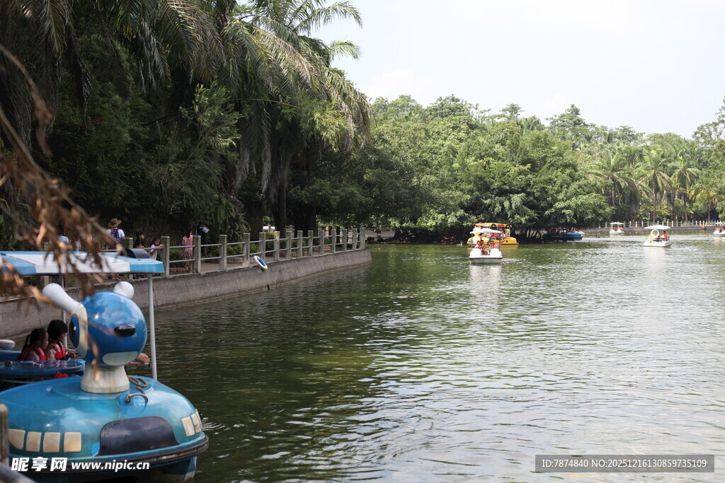 河上泛舟赏两岸葱郁景色