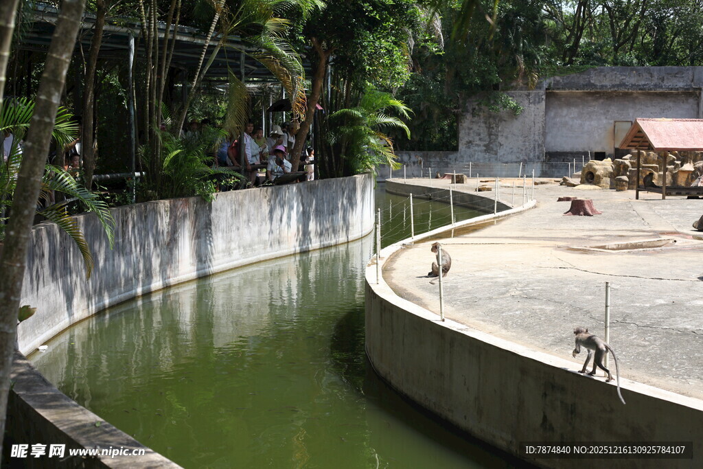 动物园内的水畔动物场景