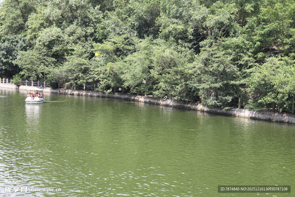 湖中小舟伴葱郁树林