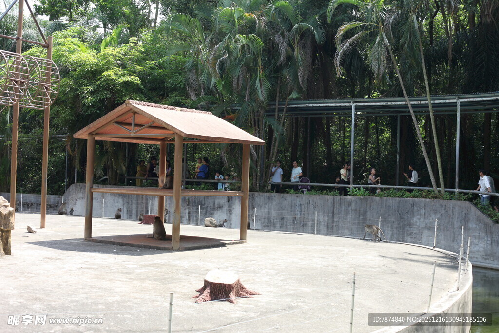 户外凉亭旁的休闲场景