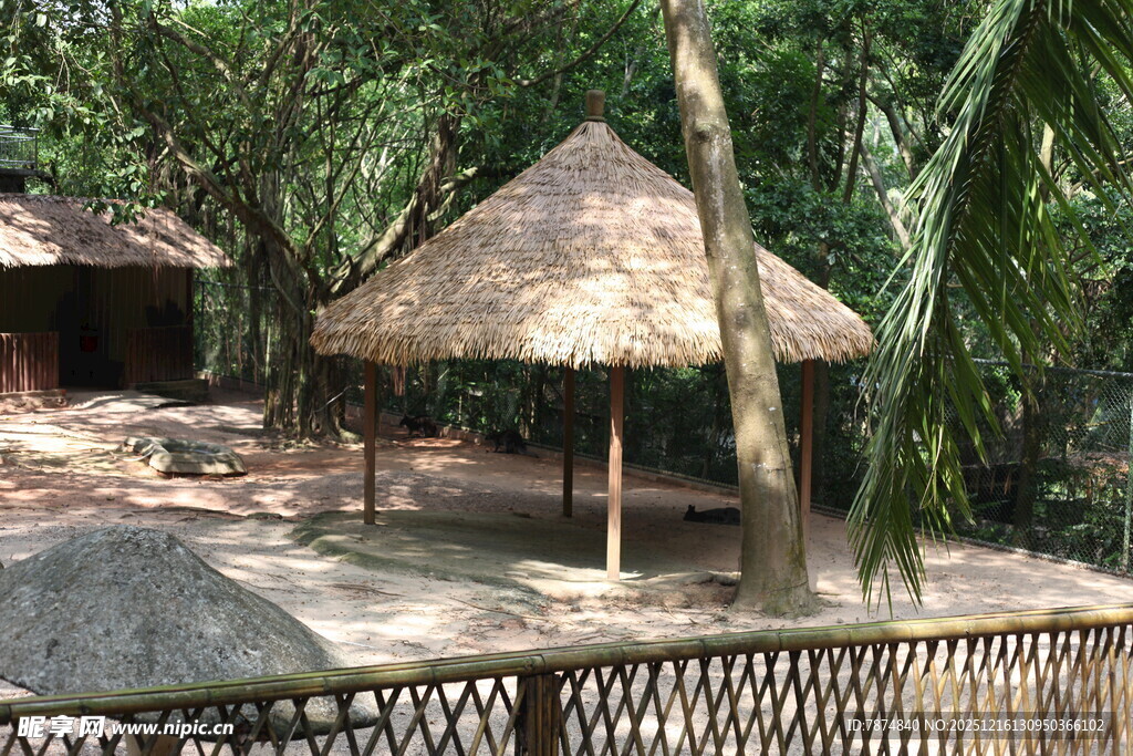 热带丛林中的茅草休憩亭