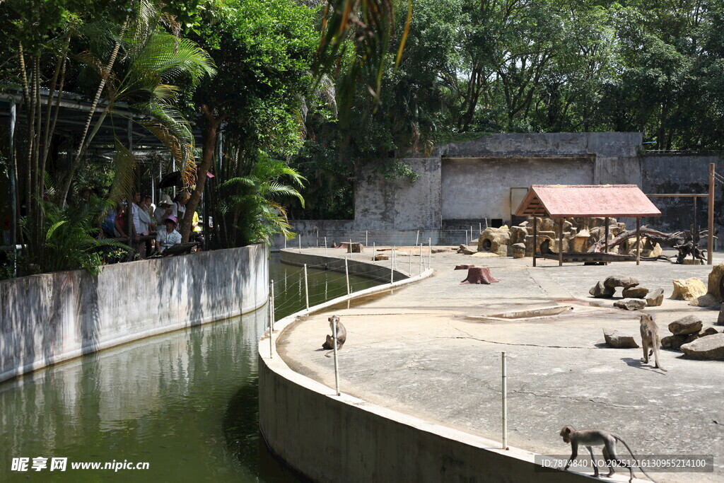 动物园猴区场景