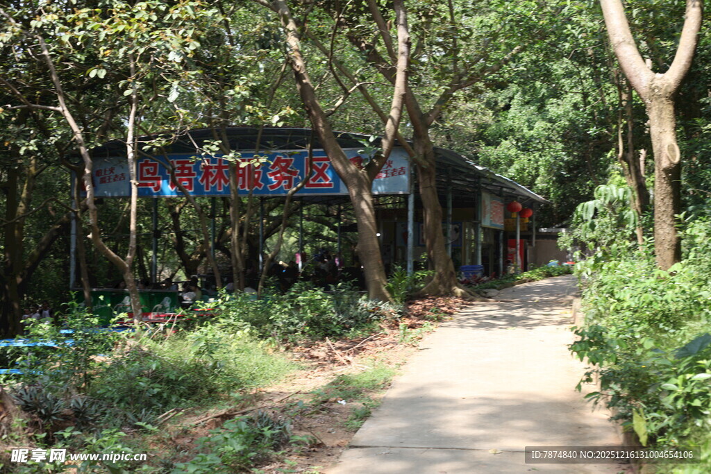 林间小屋隐于葱郁草木间