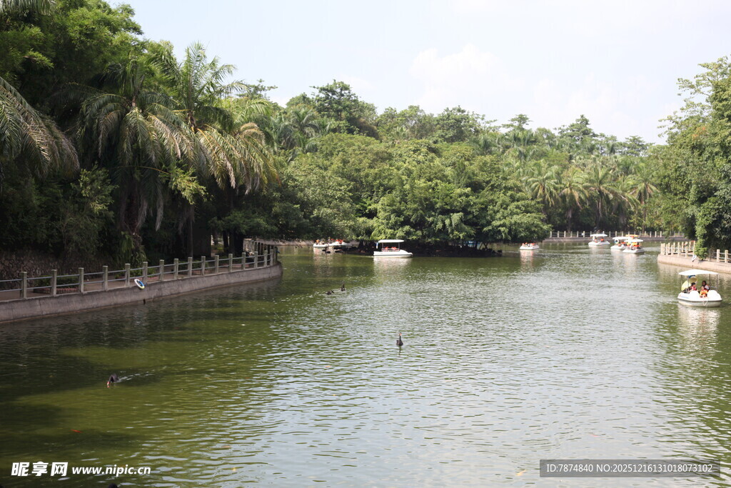 湖畔绿树环绕的宁静风光