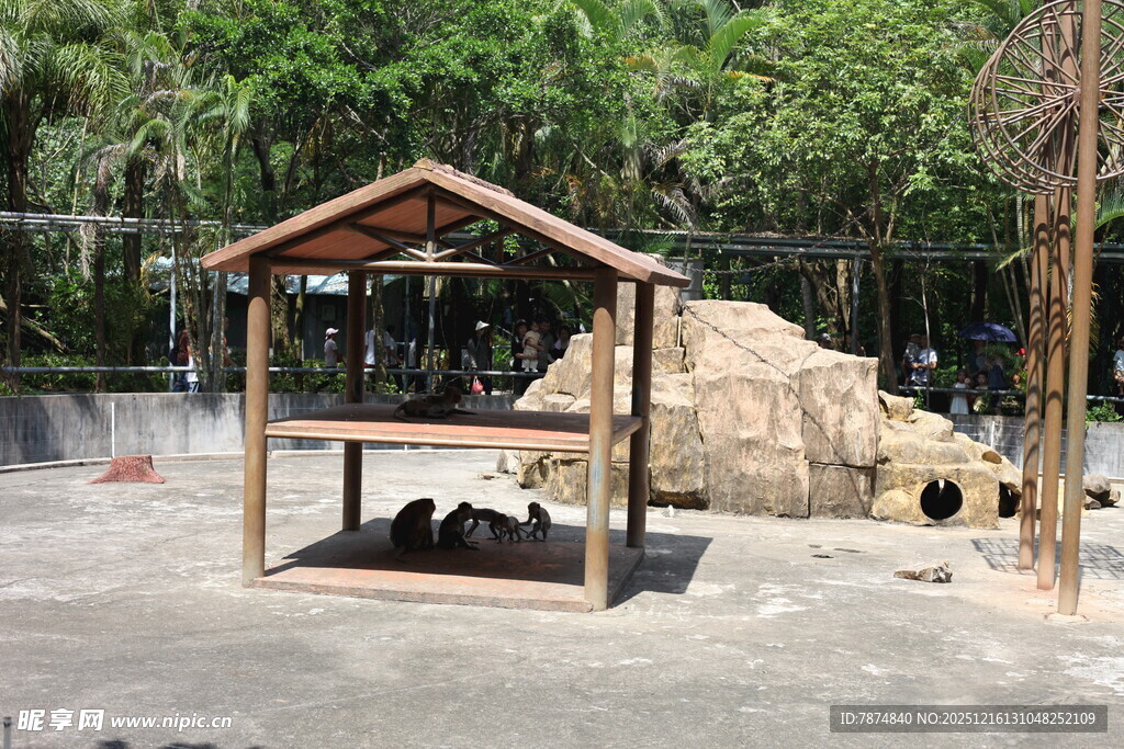 动物园熊猫馆内景