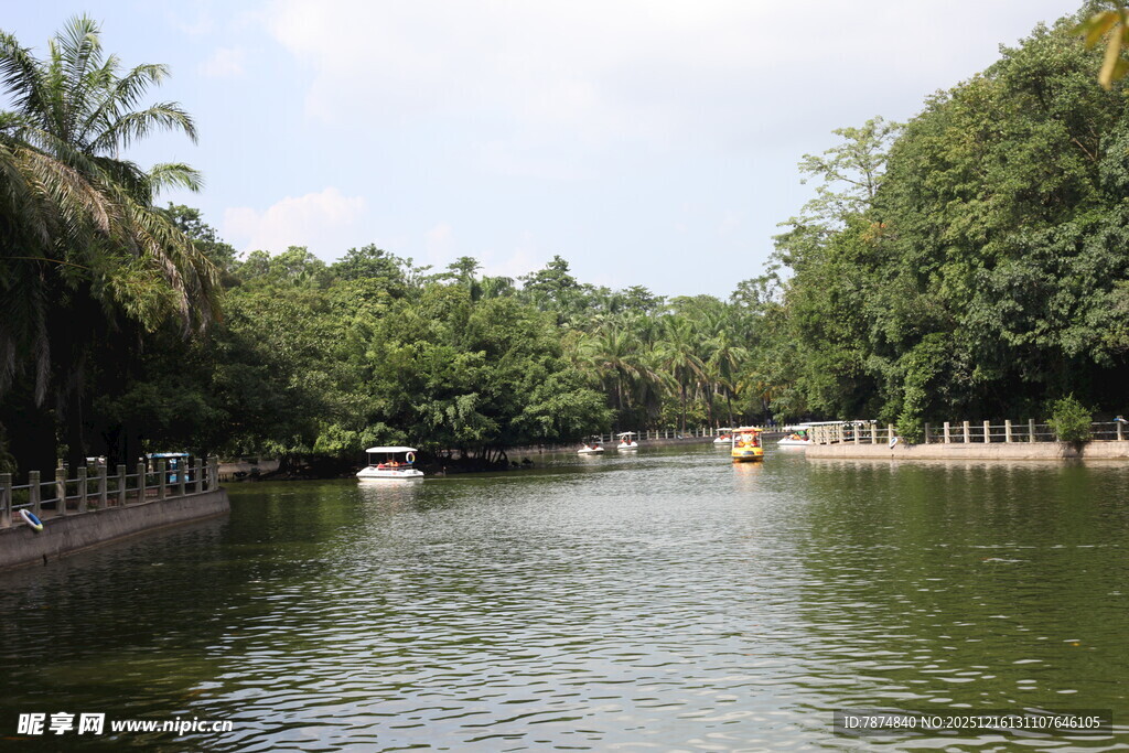 河畔绿树环绕的宁静水域