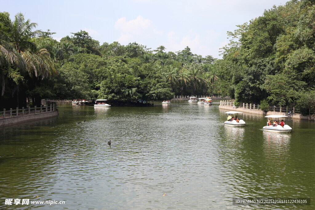 河畔绿树环绕的宁静水域