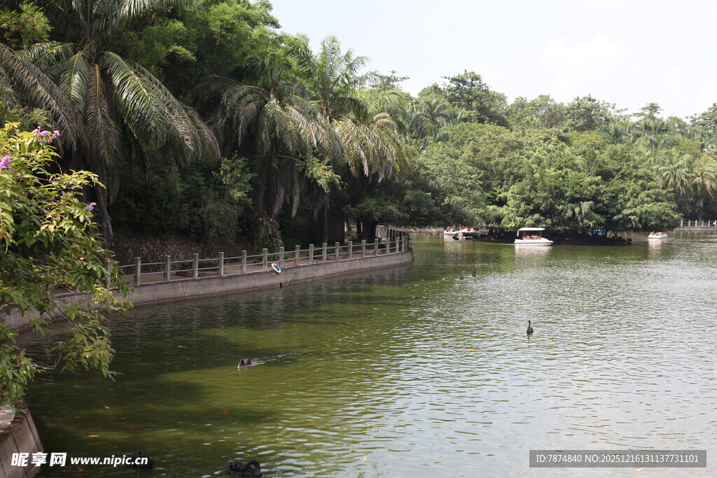 河畔绿树环绕的清幽水景