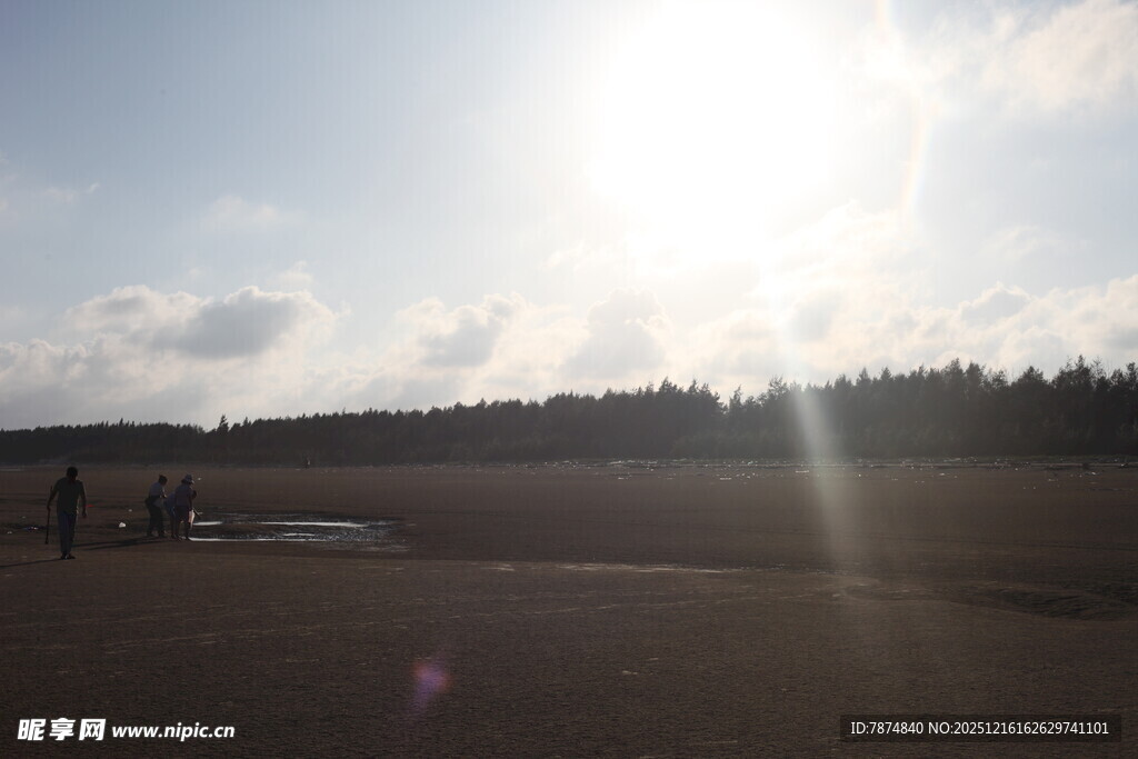 阳光照耀下的开阔户外场景