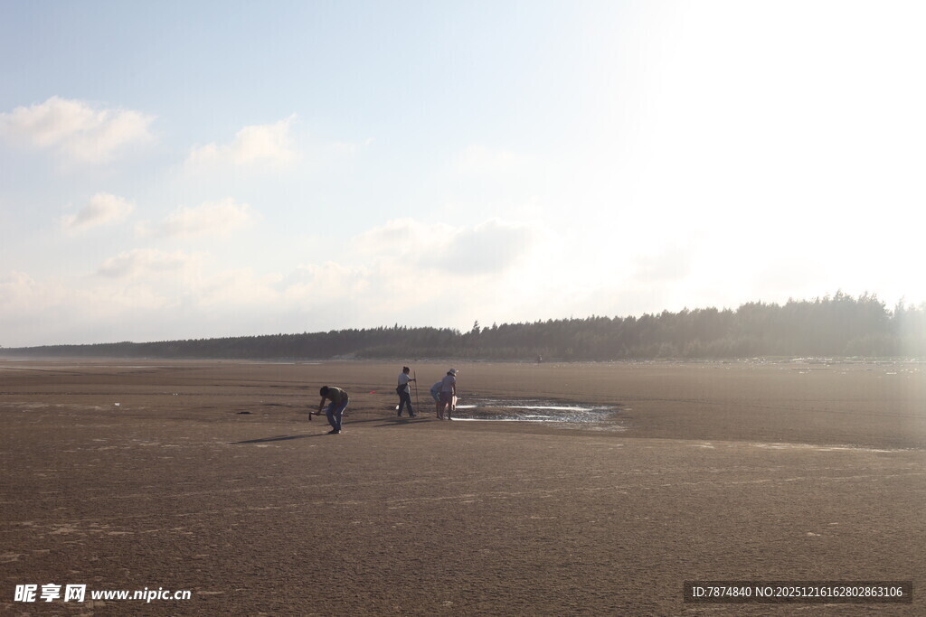 海滩漫步的悠闲身影